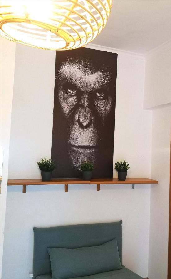 Appartamento Jungle Beach Ostie Extérieur photo